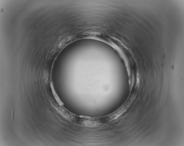 X0000086060568200703231245