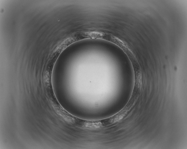 X0000086060571200703231245