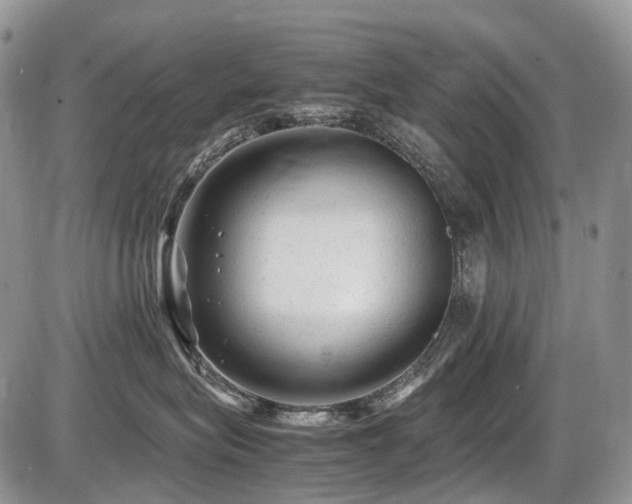 X0000086060575200703231245