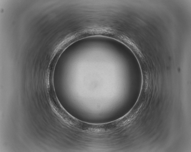 X0000086060582200703231244
