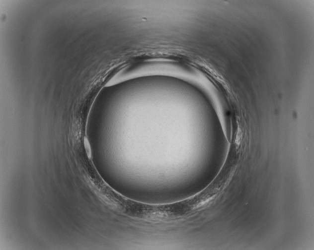 X0000086060593200703231244