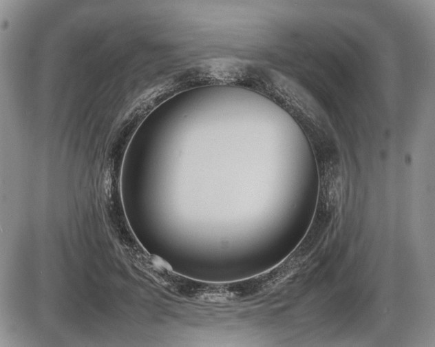 X0000086060595200703231244