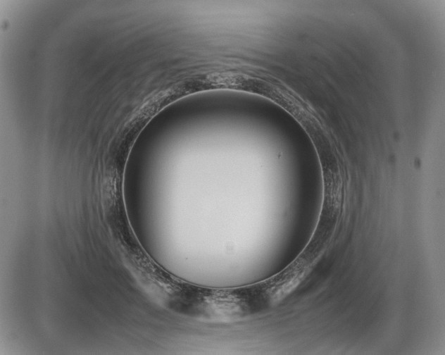 X0000086060603200703231243