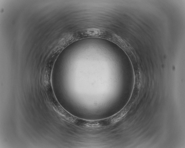 X0000086060606200703231243