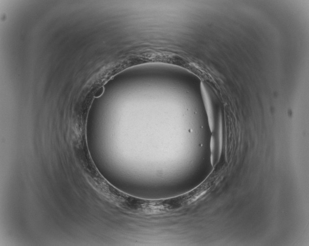 X0000086060607200703231243