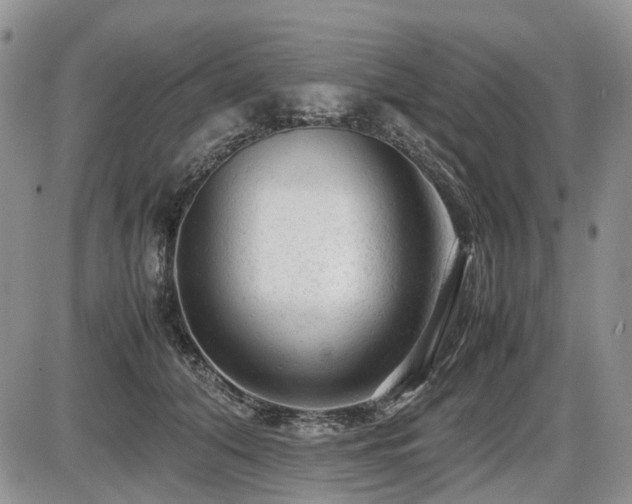 X0000086060608200703231243