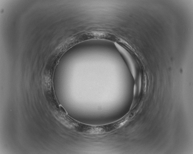 X0000086060609200703231243