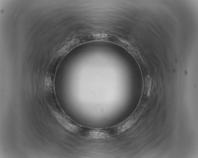 X0000086060614200703231243