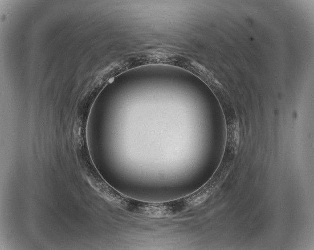 X0000086060615200703231243