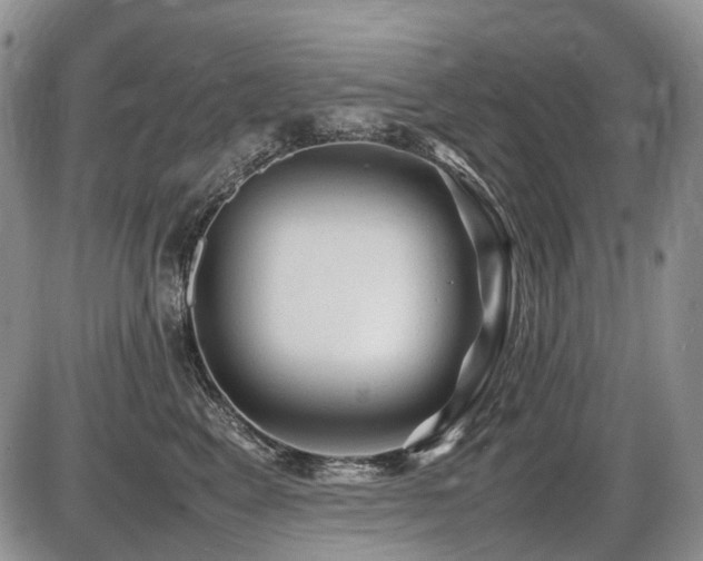 X0000086060617200703231243