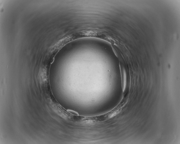 X0000086060620200703231243