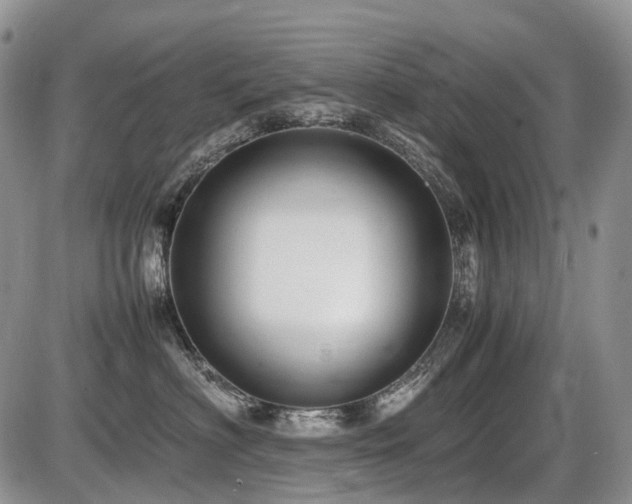 X0000086060622200703231243