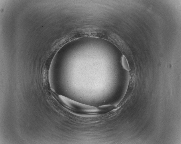 X0000086060623200703231243