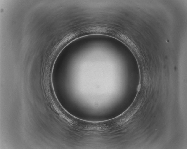 X0000086060625200703231242