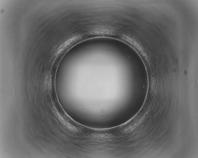 X0000086060629200703231242