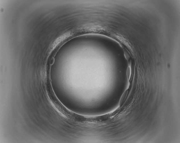 X0000086060630200703231242