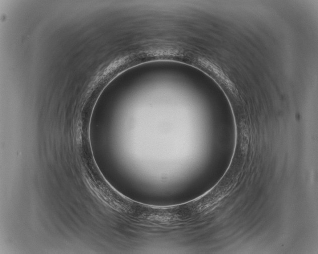 X0000086060631200703231242