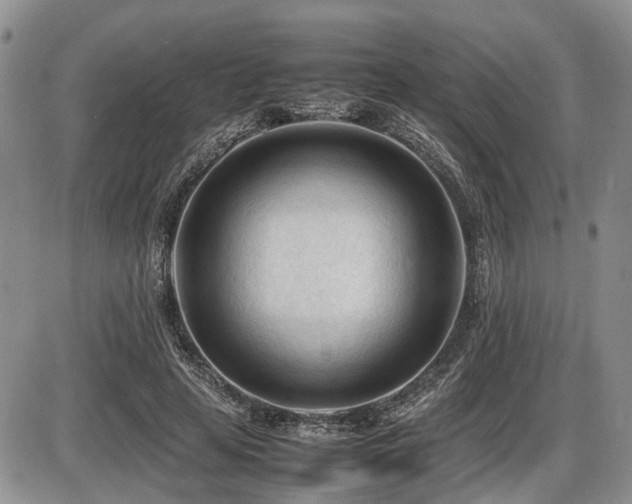 X0000086060641200703231243