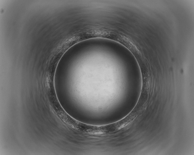X0000086060643200703231243
