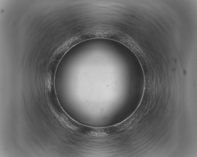 X0000086060644200703231243
