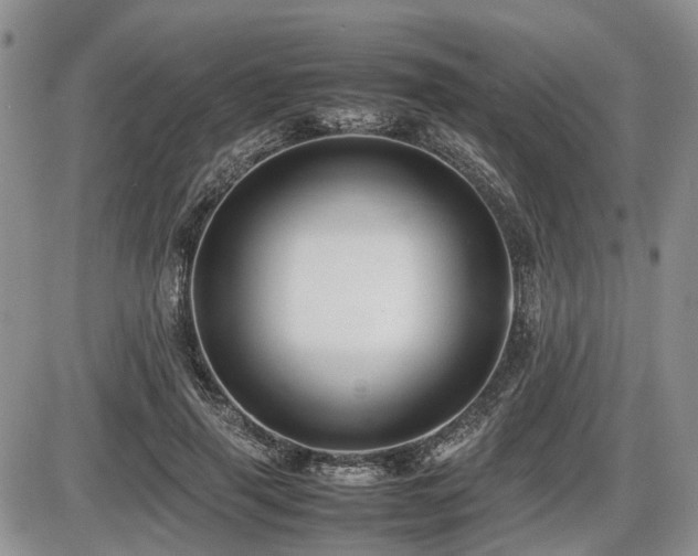 X0000086060645200703231243