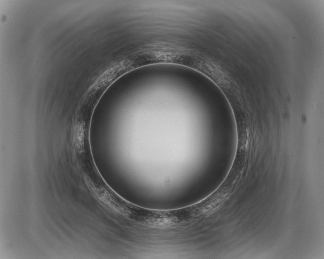 X0000086060646200703231243