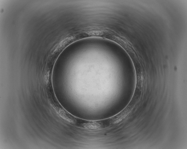 X0000086060652200703231243