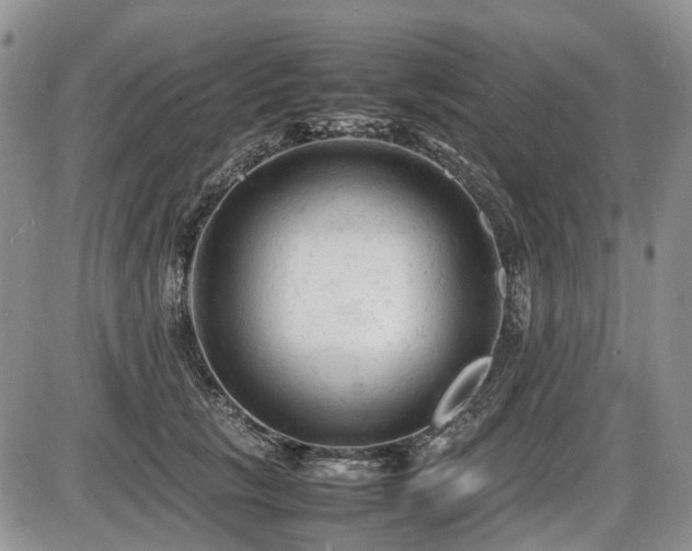 X0000086060657200703231243