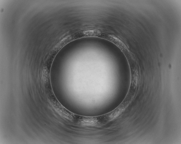X0000086060659200703231243