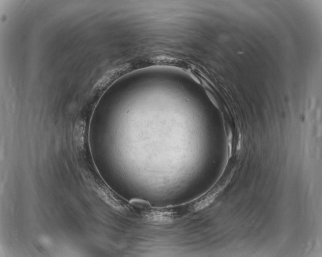 X0000086060664200703231243