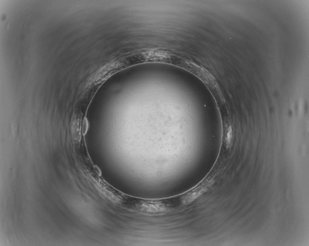 X0000086060666200703231243
