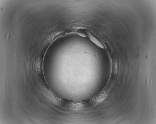 X0000086060668200703231243