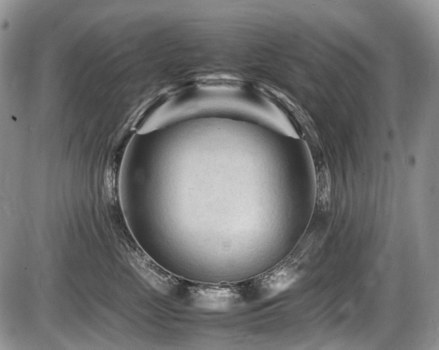 X0000086060669200703231243