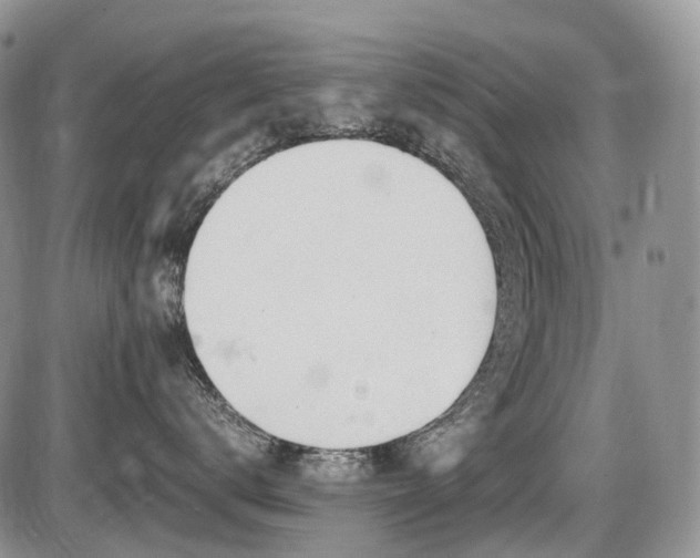 X0000086060672200703231243