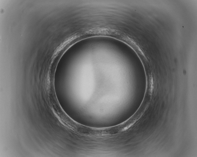 X0000086060674200703231242