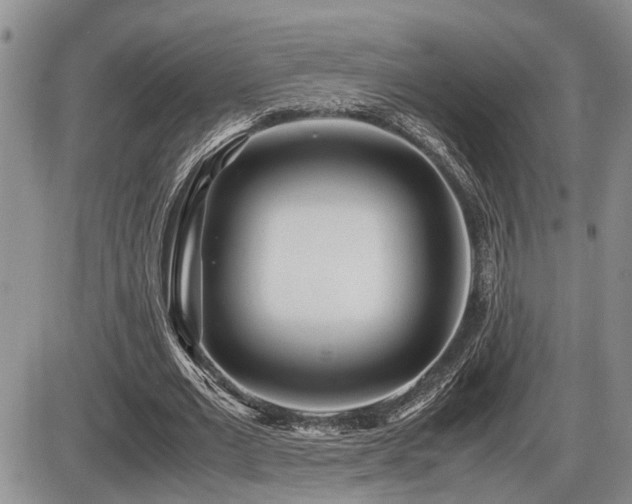 X0000086060677200703231242