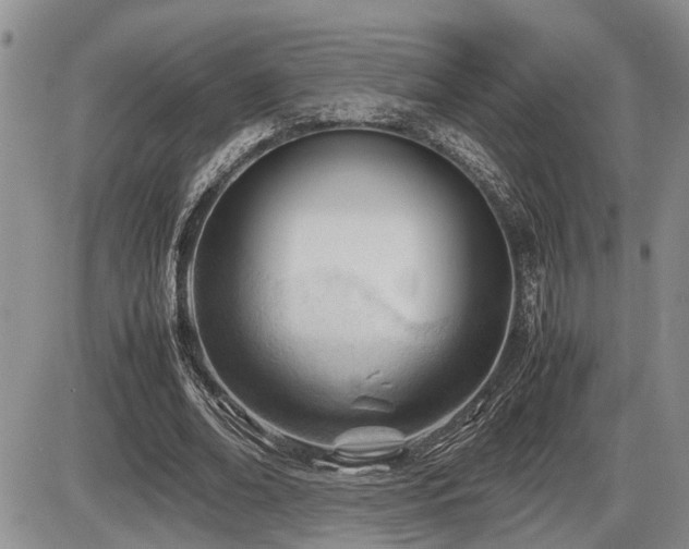 X0000086060678200703231242
