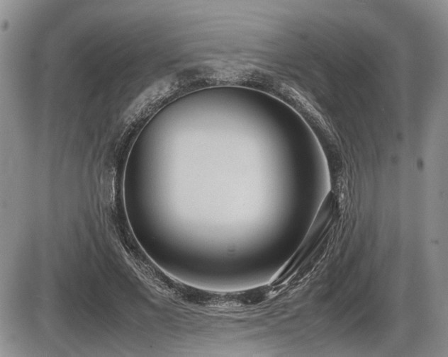 X0000086060685200703231242