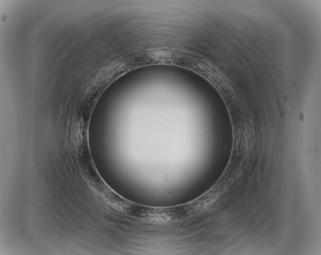 X0000086060702200703231242
