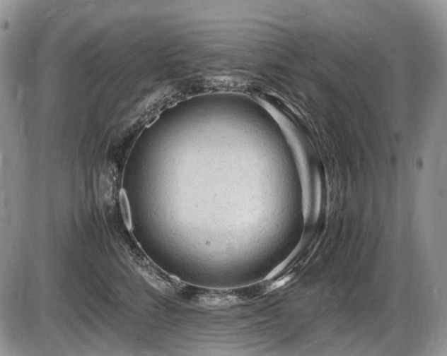 X0000086060712200703231242