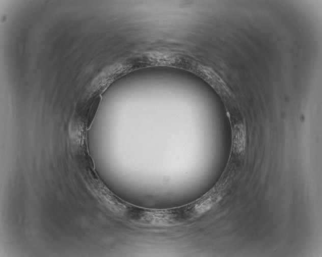 X0000086060713200703231242