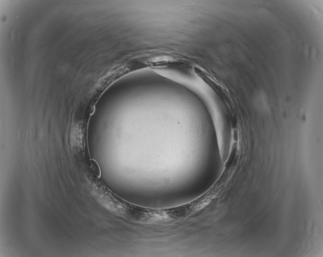 X0000086060715200703231242