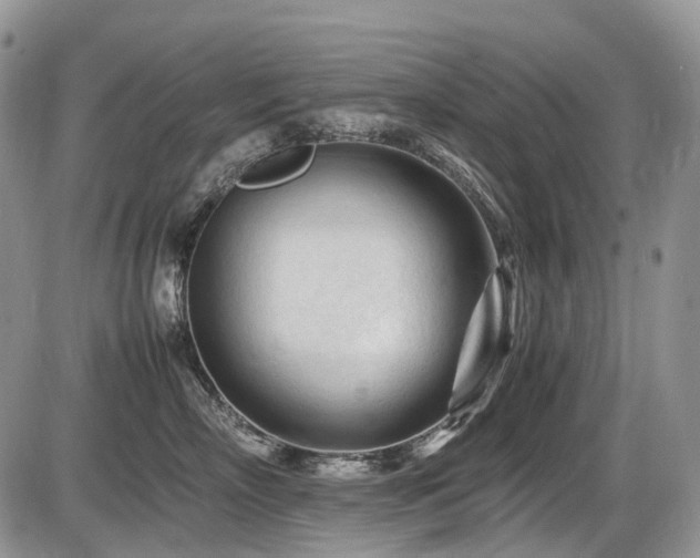 X0000086060718200703231241