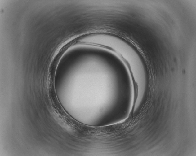 X0000086060724200703231241