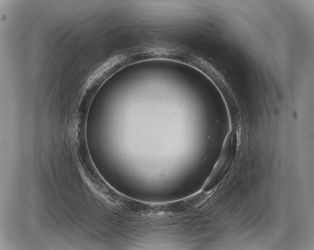 X0000086060730200703231241