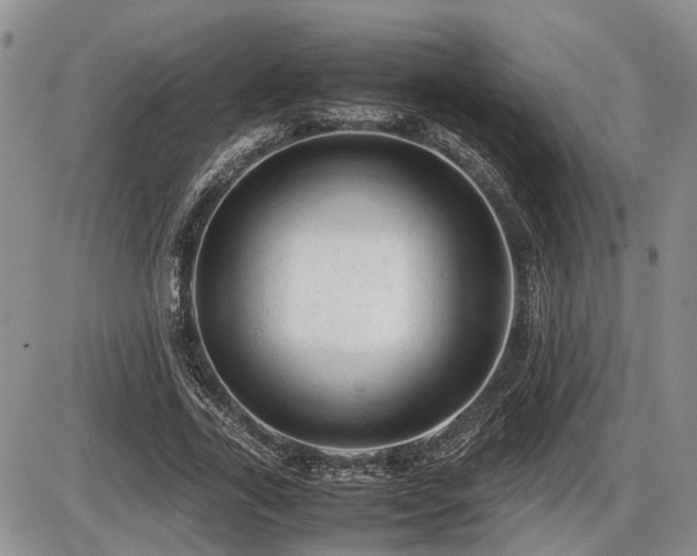 X0000086060731200703231241