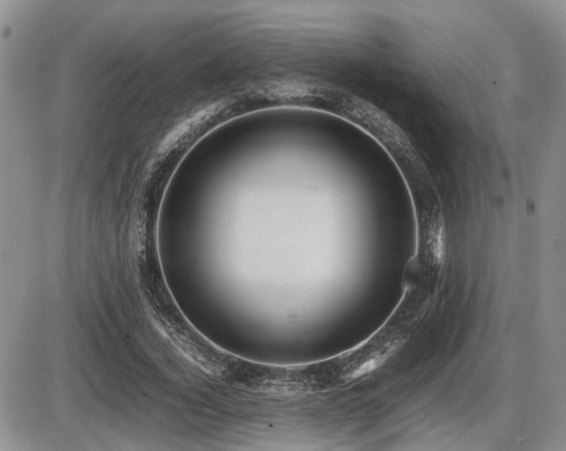 X0000086060732200703231241