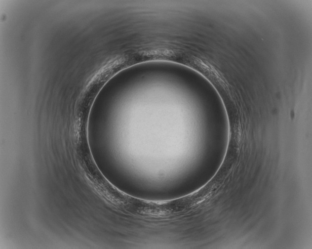 X0000086060735200703231241