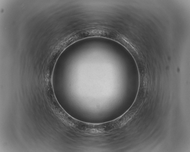 X0000086060737200703231241