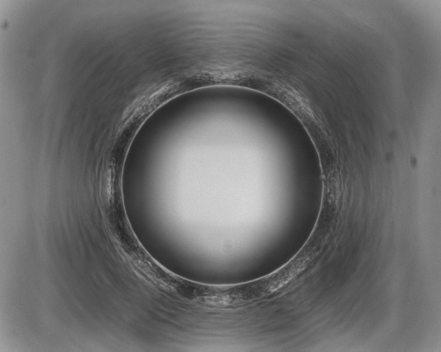 X0000086060740200703231241